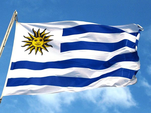 Tarjeta Consular Uruguaya en USA